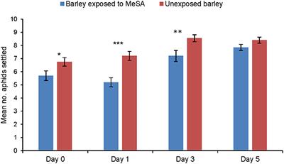 Effects of Methyl Salicylate on Host Plant Acceptance and Feeding by the Aphid Rhopalosiphum padi